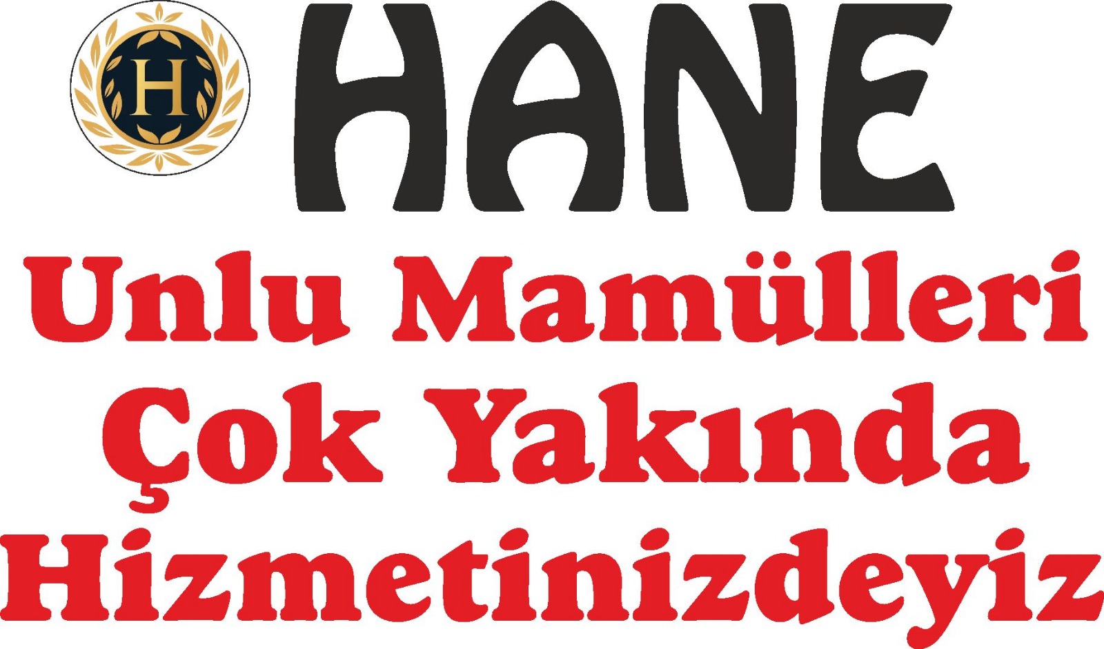 resme alternatif yaz